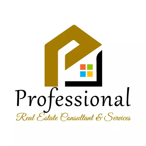 The Professional Real Estate Consultant