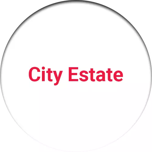 City Estate ( Mehmoodabad )