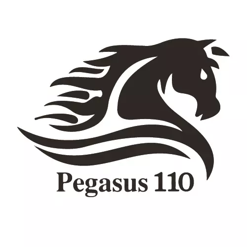 Pegasus Properties 