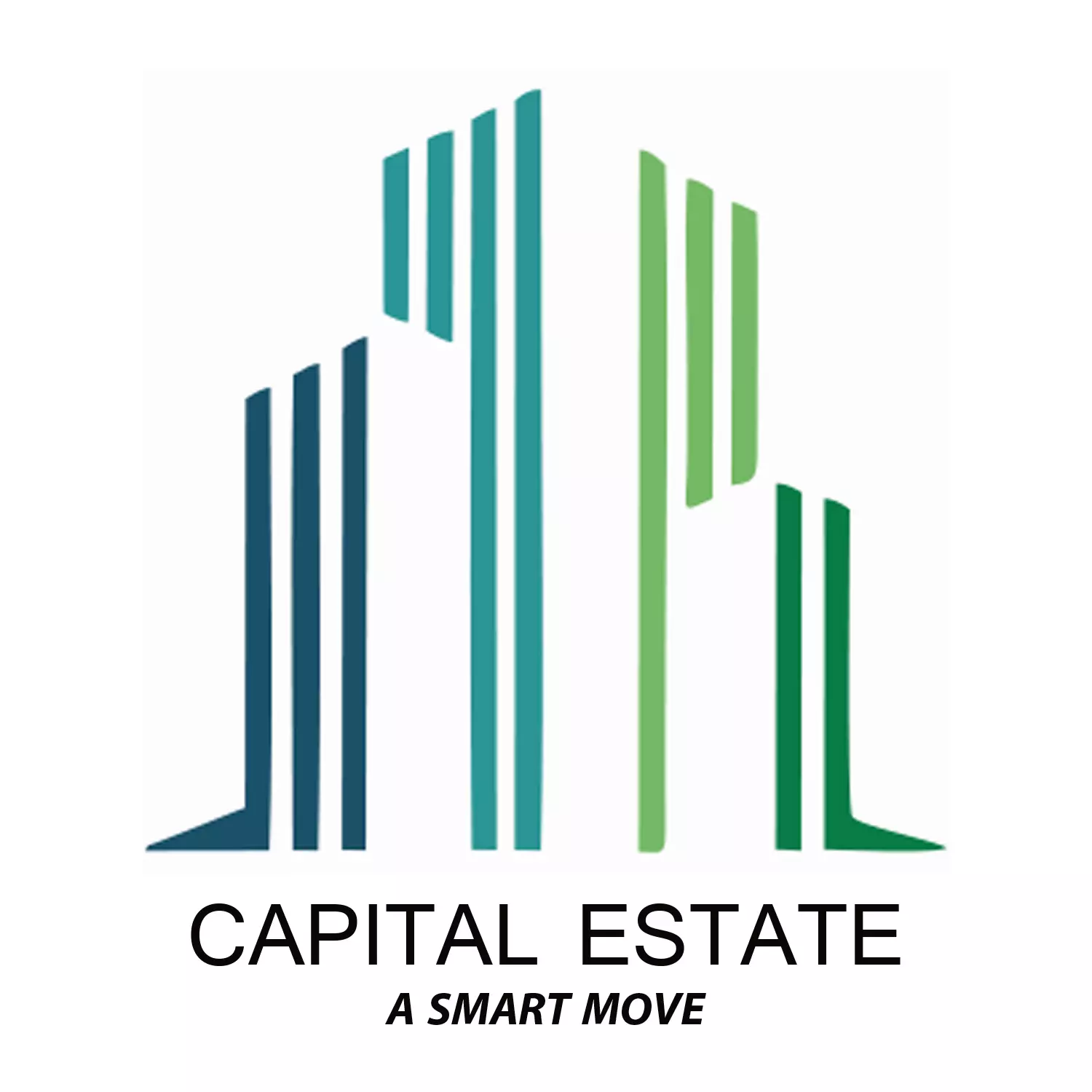 Capital Estate & Builders ( Park View City ) 