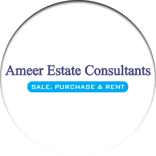 Ameer Estate Consultants 