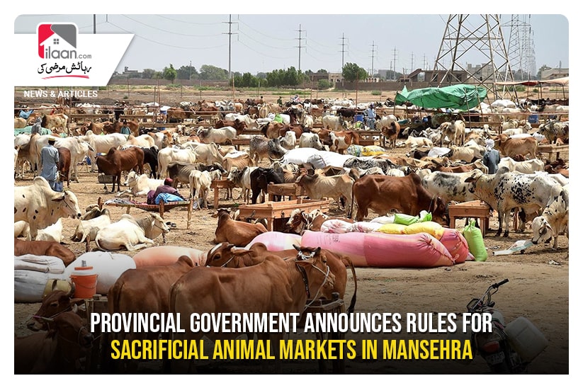 Provincial Government announces rules for sacrificial animal markets in Mansehra