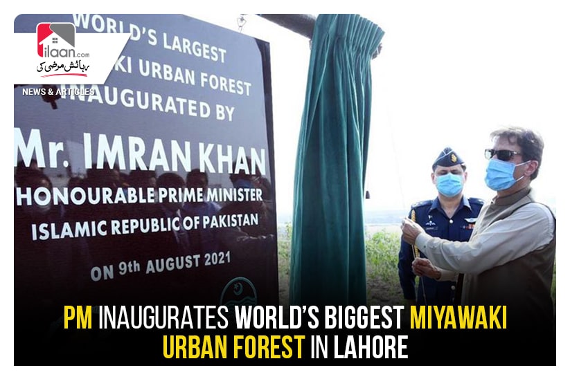 PM inaugurates world’s biggest Miyawaki urban forest in Lahore