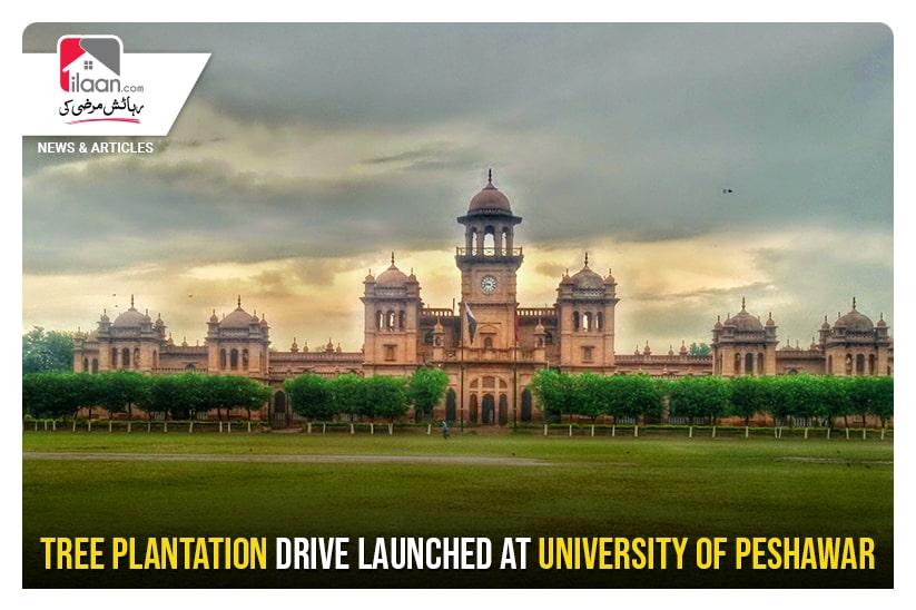 Tree Plantation drive launched at University of Peshawar