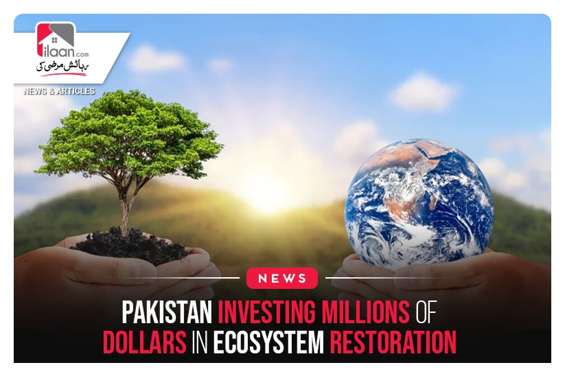 Pakistan investing millions of dollars in ecosystem restoration