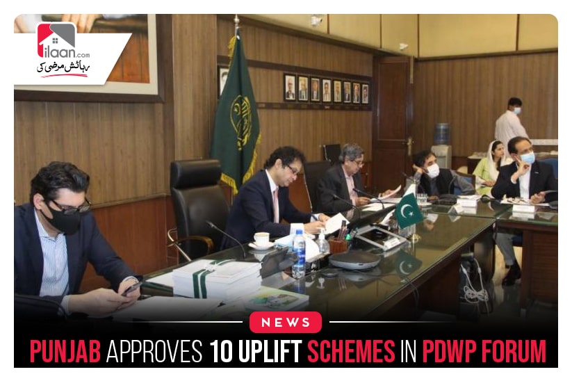 Punjab approves 10 uplift schemes in PDWP forum