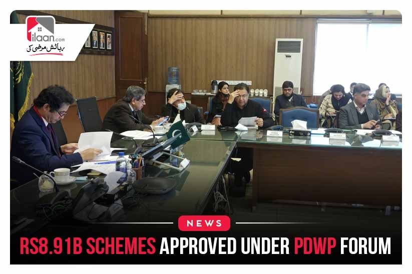 Rs8.91b schemes approved under PDWP forum