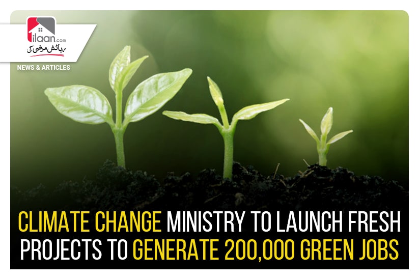 Climate change ministry to launch fresh projects to generate 200,000 green jobs