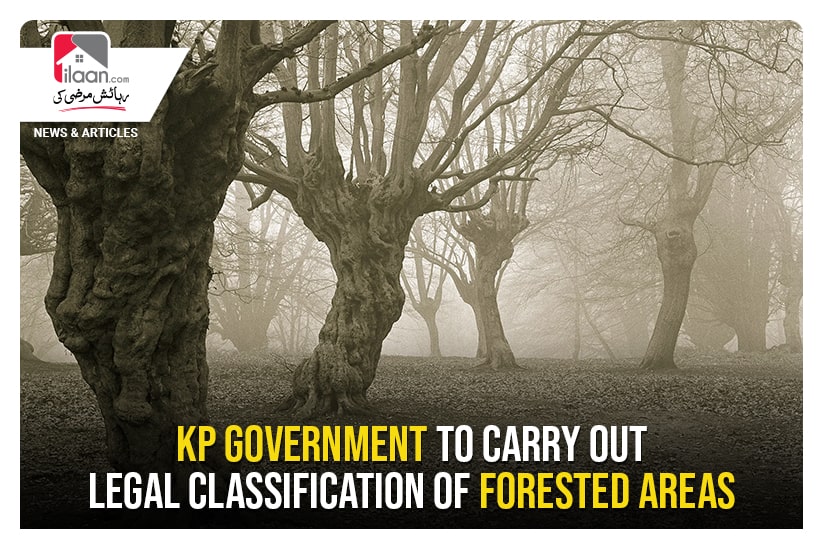 KP government to carry out legal classification of forested areas