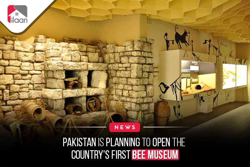 Pakistan is planning to open the country's first bee museum