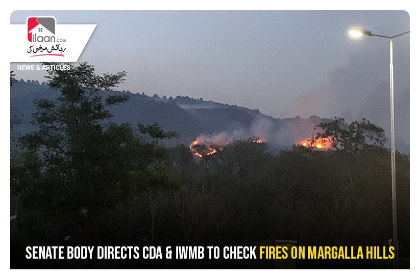 Senate Body directs CDA & IWMB to check fires on Margalla Hills