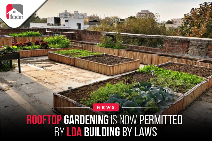 Rooftop gardening is now permitted by LDA building bylaws