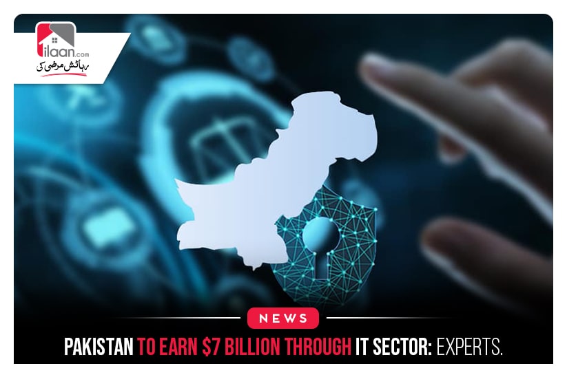 Pakistan to earn $7 billion through IT sector: Experts