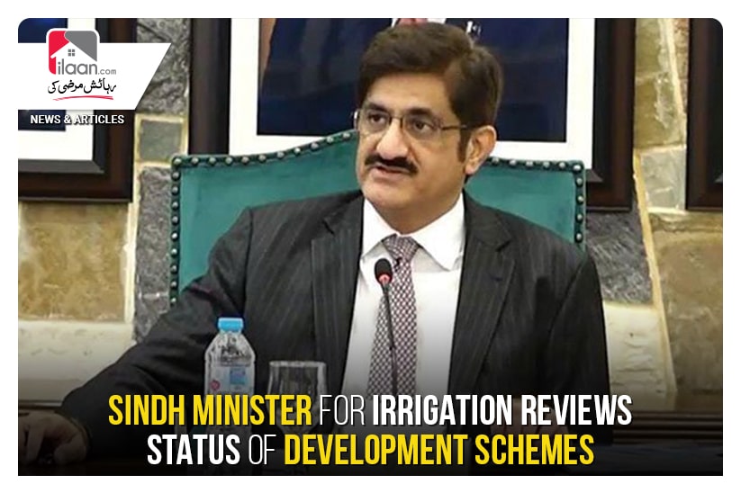 Sindh Minister for Irrigation Reviews Status of Development Schemes