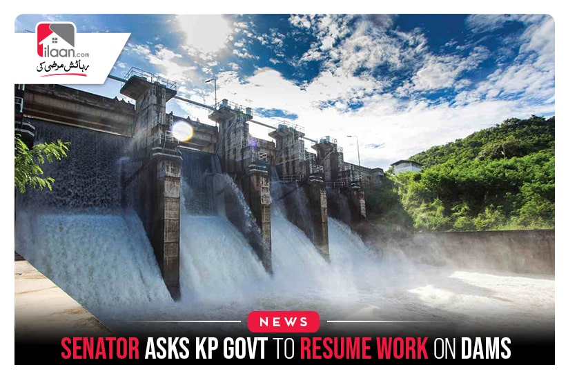 Senator asks KP govt to resume work on dams