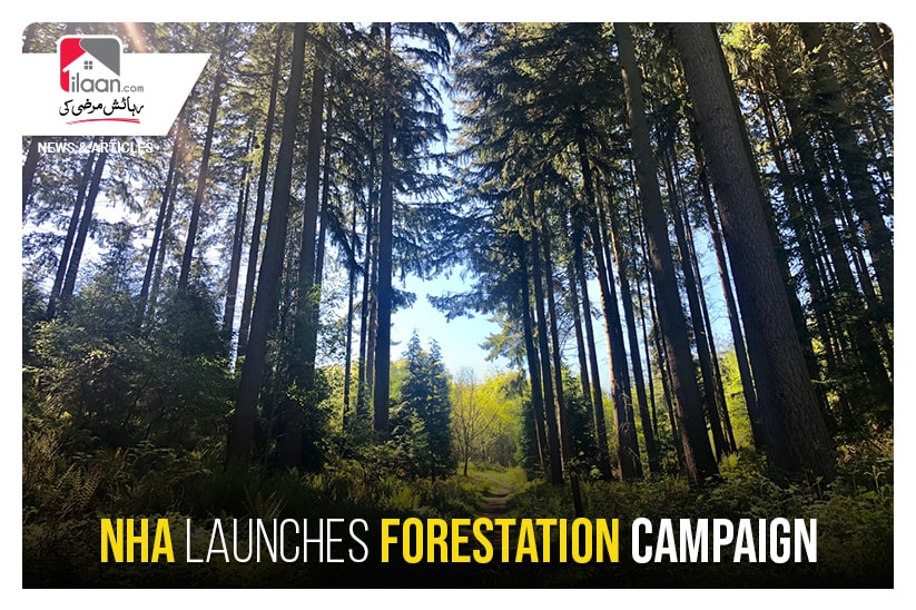 NHA launches forestation campaign