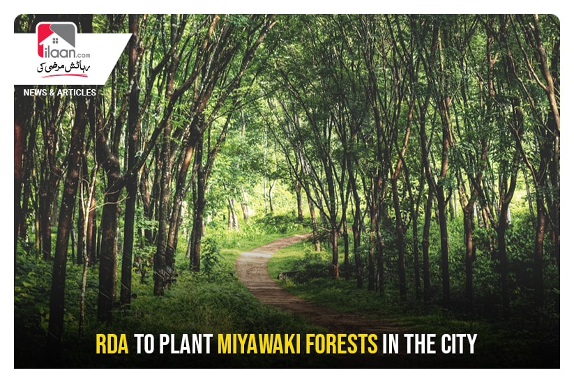 RDA to plant Miyawaki forests in the city