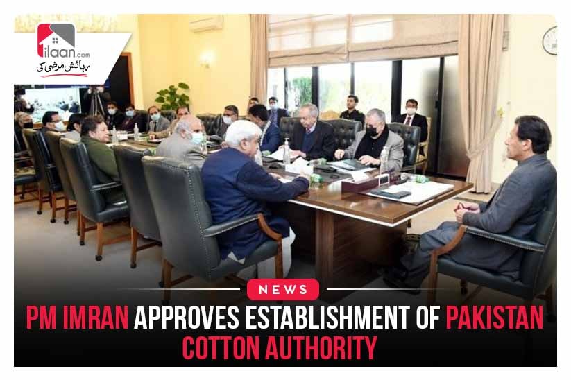 PM Imran approves establishment of Pakistan Cotton Authority