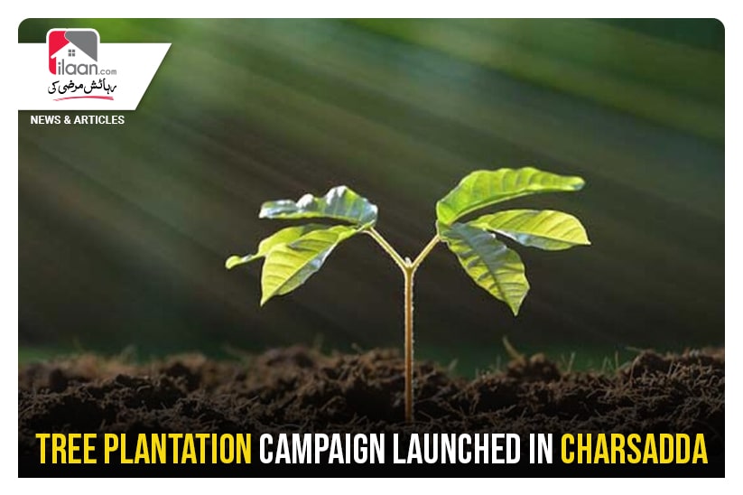 Tree plantation launched in Charsadda