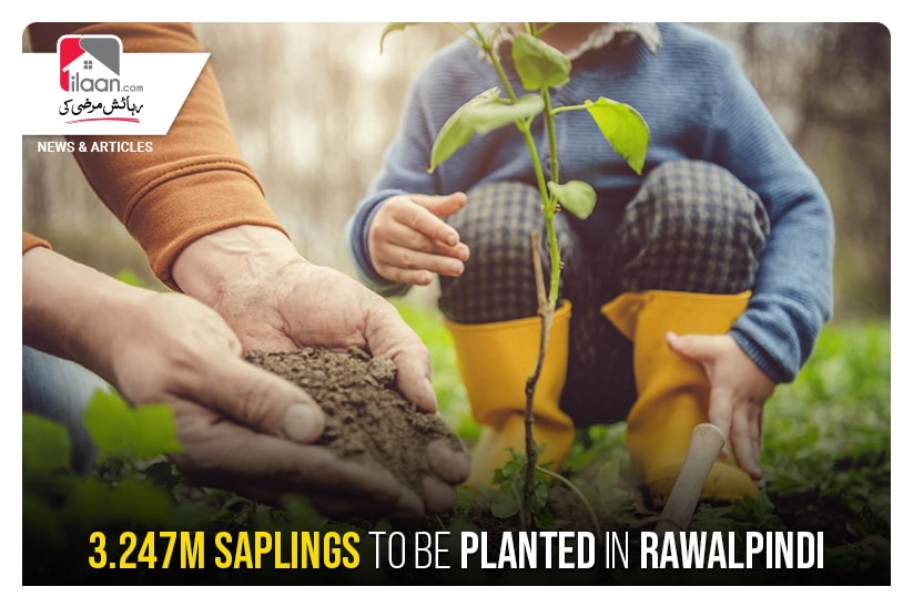 3.247m saplings to be planted in Rawalpindi