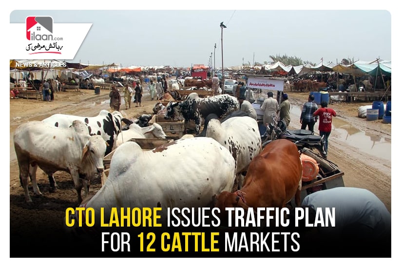 CTO Lahore issues traffic plan for 12 cattle markets
