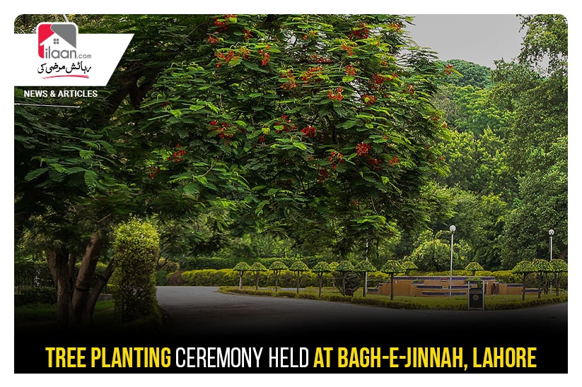 Tree planting ceremony held at Bagh-e-Jinnah, Lahore
