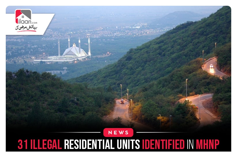 31 illegal residential units identified in MHNP