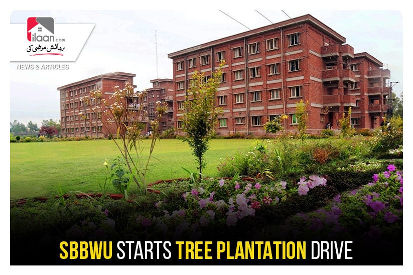 SBBWU starts Tree Plantation drive