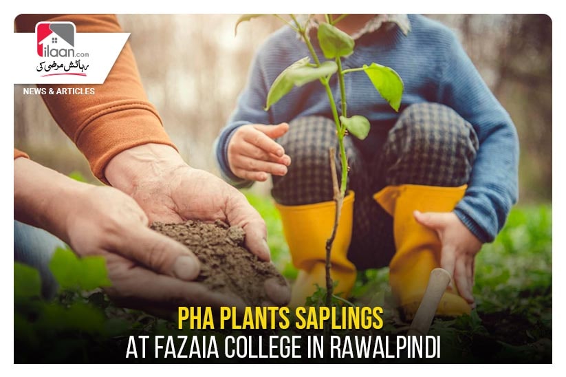 PHA plants saplings at Fazaia College in Rawalpindi