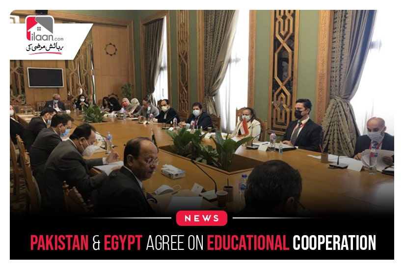 Pakistan & Egypt Agree on Educational Cooperation