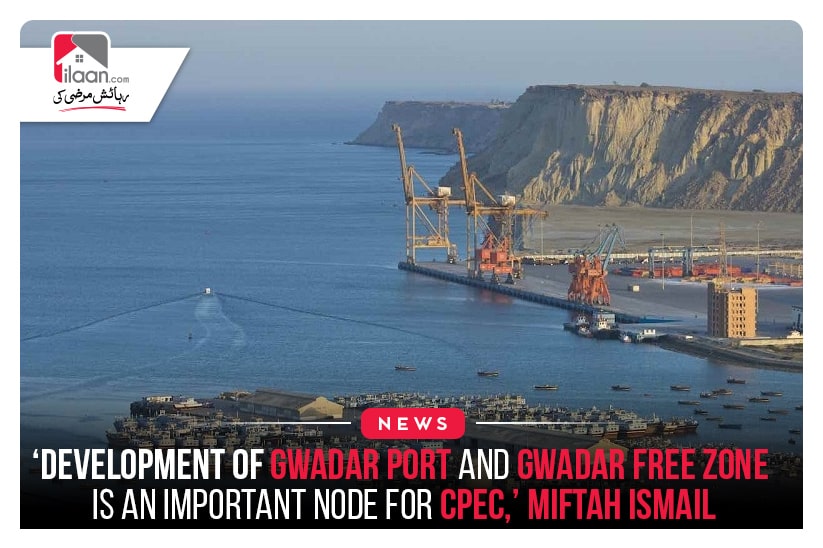 Development of Gwadar Port and Gwadar Free Zone is an important node for CPEC: Miftah Ismail