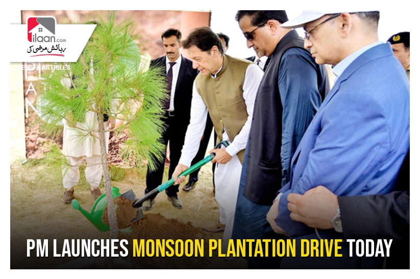 PM launches monsoon plantation drive today