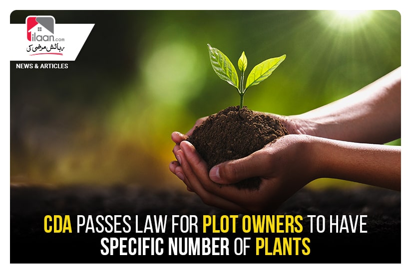 CDA passes Law for plot owners to have specific number of plants
