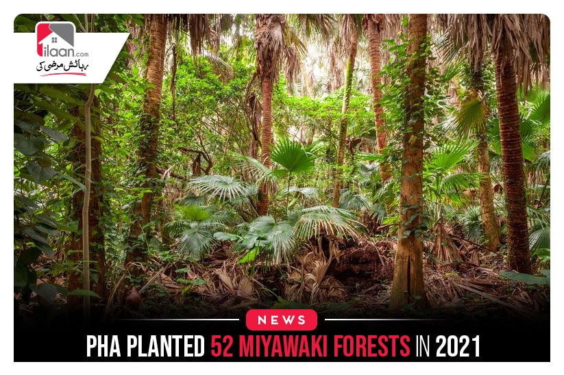PHA planted 52 Miyawaki forests in 2021