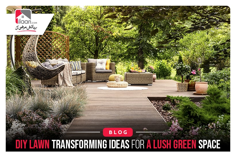 DIY Lawn Transforming Ideas for a Lush Green Space