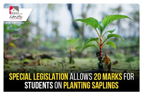 Special legislation allows 20 marks for students on planting saplings