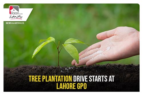 Tree Plantation drive starts at Lahore GPO