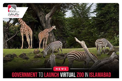 Government to Launch Virtual Zoo in Islamabad