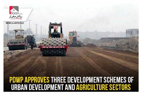 PDWP approves three development schemes of urban development and agriculture sectors