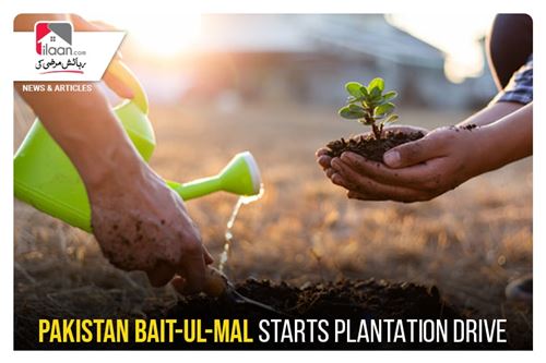 Pakistan Bait-ul-Mal starts plantation drive