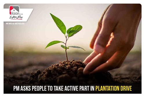 PM asks people to take active part in Plantation Drive