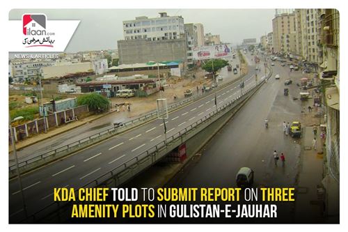 KDA chief told to submit report on three amenity plots in Gulistan e jauhar