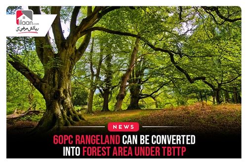 60pc rangeland can be converted into forest area under TBTTP