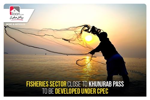 Fisheries sector close to Khunjrab Pass to be developed under CPEC