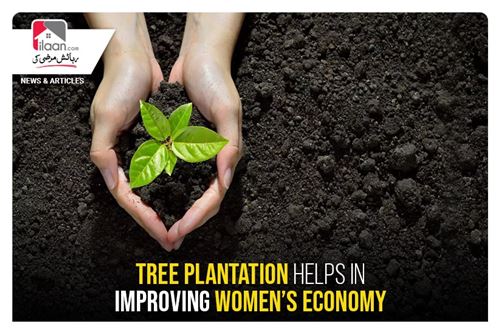 Tree plantation helps in improving women’s economy