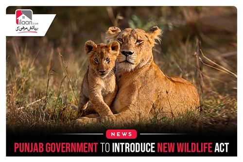 Punjab government to introduce new wildlife act