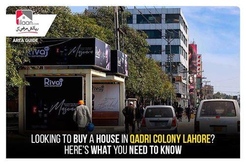 Looking to Buy a House in Qadri Colony Lahore? Here's What You Need to Know