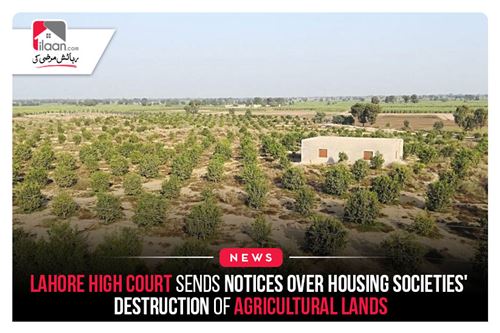 Lahore High Court sends notices over housing societies' destruction of agricultural lands