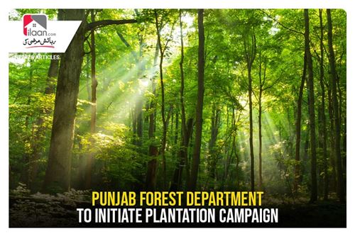Punjab Forest Department to initiate plantation campaign