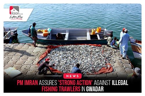 PM Imran assures 'strong action' against illegal fishing trawlers in Gwadar